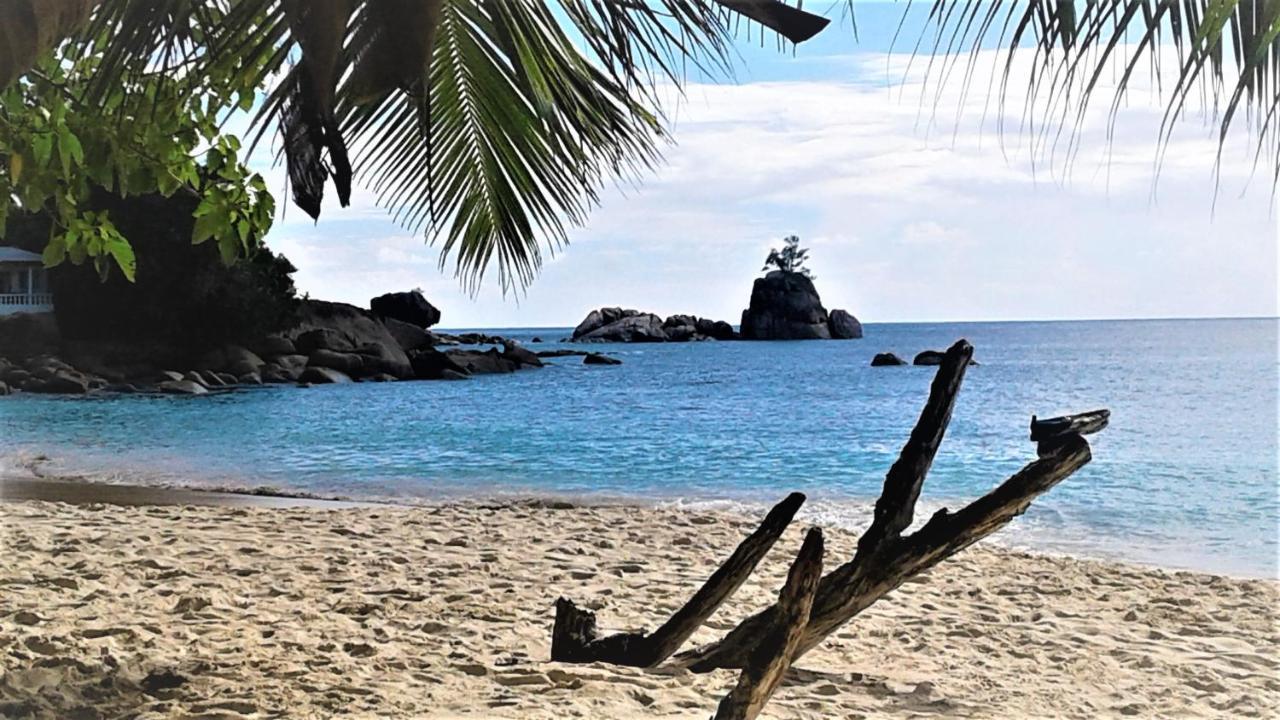 Seychelles Yellow Petals Anse Boileau Exterior foto