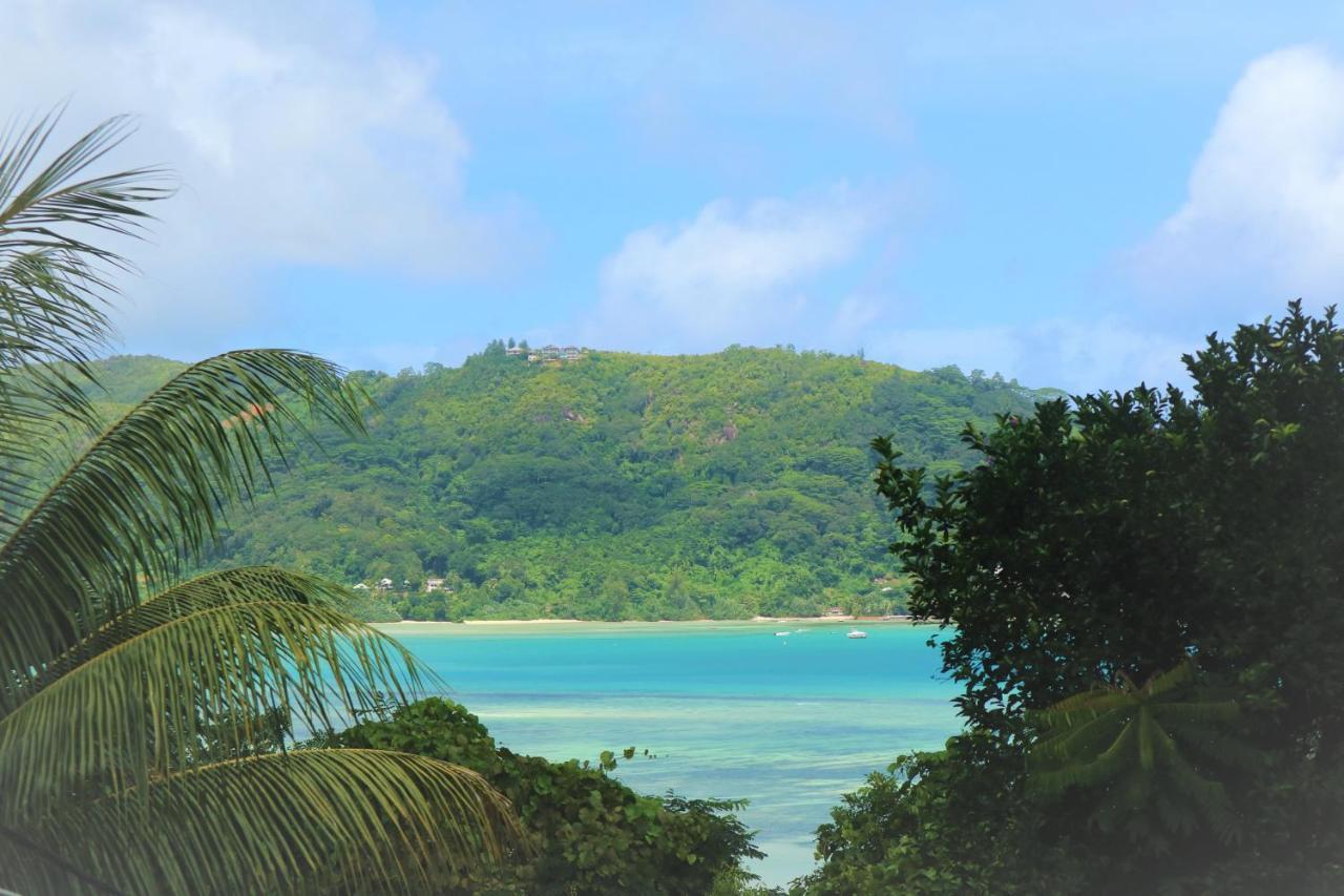 Seychelles Yellow Petals Anse Boileau Exterior foto