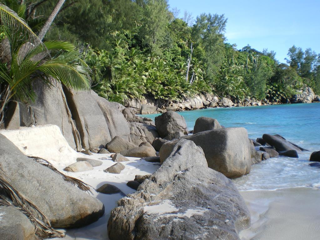 Seychelles Yellow Petals Anse Boileau Exterior foto
