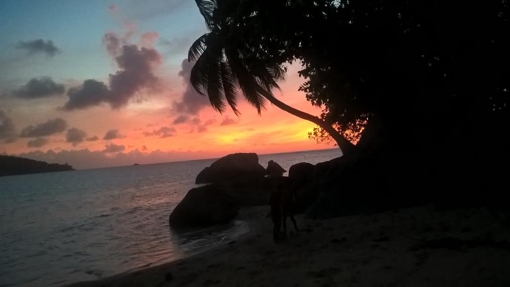 Seychelles Yellow Petals Anse Boileau Exterior foto